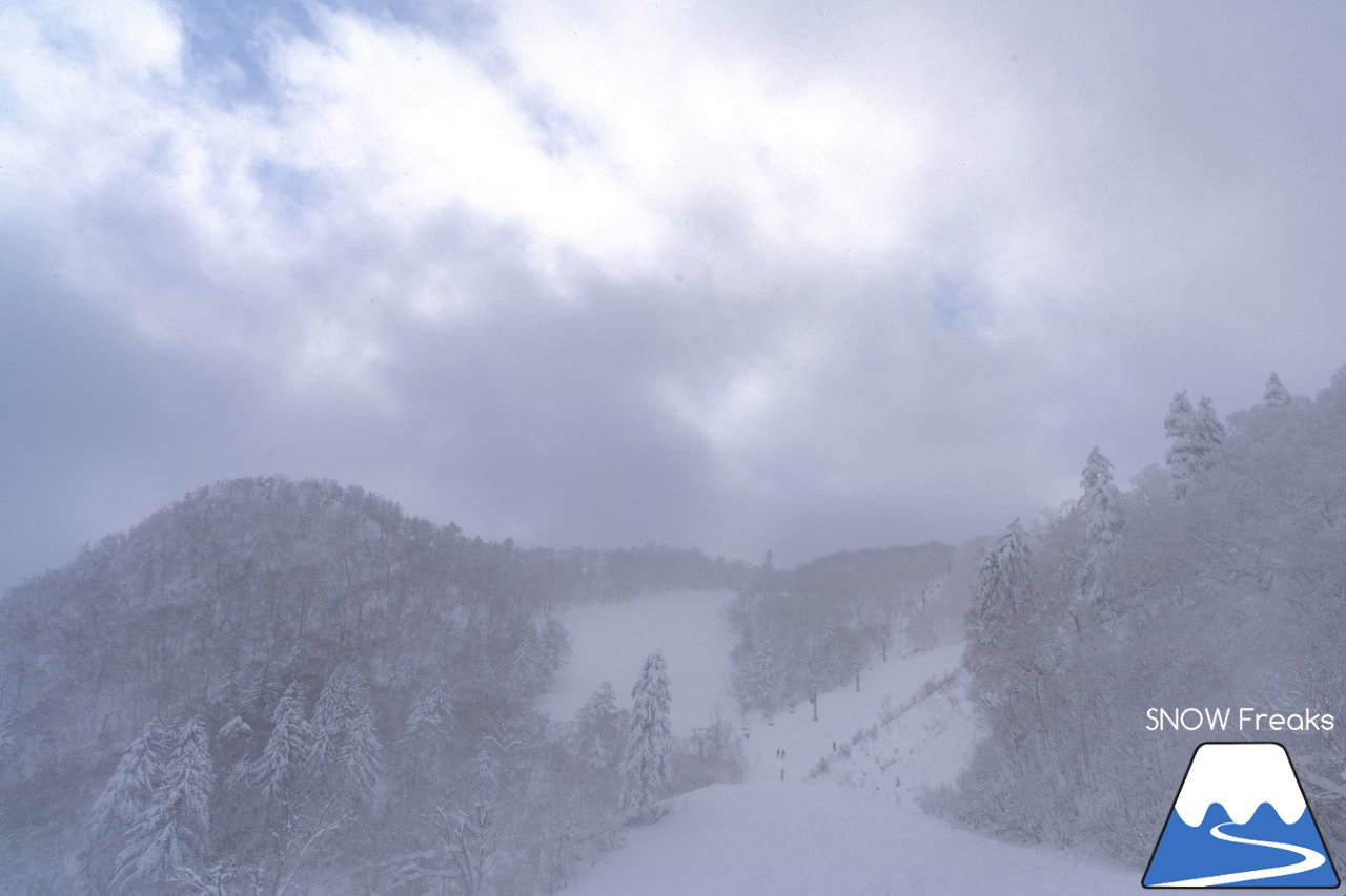 富良野スキー場｜標高1,074ｍ。富良野ZONE山頂エリア本日開放！山頂から山麓まで滑り応えたっぷり標高差約800ｍのロングダウンヒルと、ふわふわと舞う粉雪を同時に楽しめる富良野スキー場って、やっぱり凄い☆